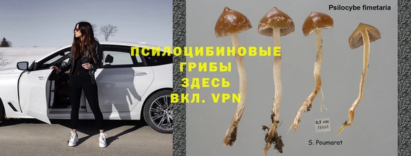 прущий лед Арсеньев