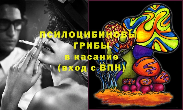 крисы Армянск
