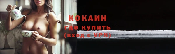крисы Армянск