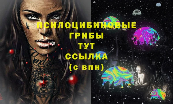 крисы Армянск