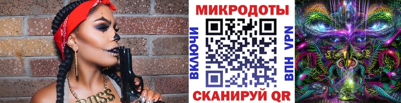 купить наркоту  Барыш  Псилоцибиновые грибы Psilocybe 